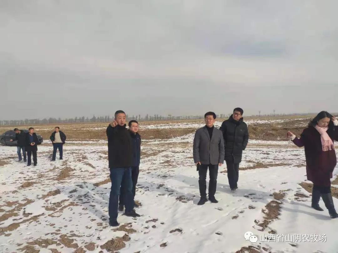 蓝顿旭美食品有限公司来我场考察交流